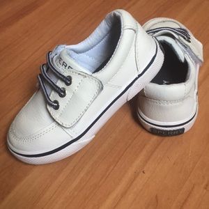 Toddle Sperry